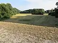 Levee, field, and woodland in the Donau-Auen