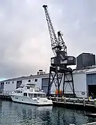 Level luffing crane