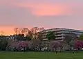 University of Edinburgh Main Library, photographed from The Meadows.