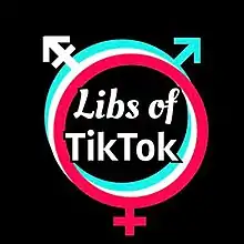 The planetary symbols for Mars and Venus in cyan and magenta respectively, in homage of TikTok's logo. In the center is the text "Libs of" (italicized) and "TikTok".