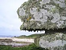 Image 28Lichen covered rocks (from Marine fungi)