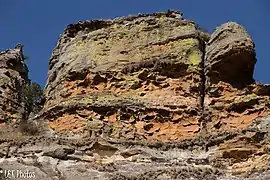 lichens growing on the rocks at Isalo National Park, Madagascar including Dermatiscum thunbergii