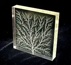 Trees: Lichtenberg figure: high voltage dielectric breakdown in an acrylic polymer block