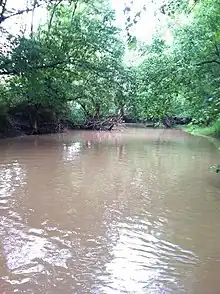 Lick Creek near Gilbreath Road.