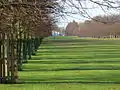 Lime Avenue looking towards White Lodge