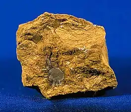 Limonite, a mineraloid containing iron hydroxide, is the main ingredient of all the ochre pigments.