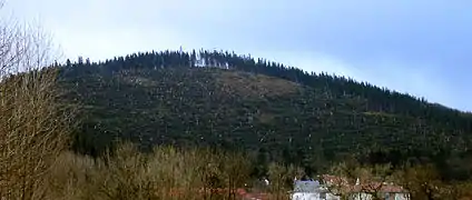 The forest on the Lindenberg mountain above Ilmenau, Germany was heavily damaged