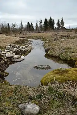 Source of the Lindrehti springs