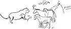 Outlines of a lioness and a small group of horses of the Celtic or Arab type, a delicate wall engraving in the Diverticule final of the cavern of Font-de-Gaume. After Breuil.