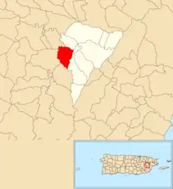 Location of Lirios within the municipality of Juncos shown in red