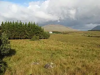 Lissoughter, viewed from forest in Recess, County Galway