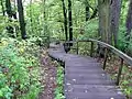 Footpath downhill of the Verkiai Palace park