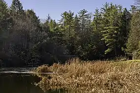 A reservoir viewed from a boating dock, with forested mountain ridges on either side and in the background.