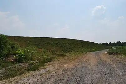 Reclaimed mine land