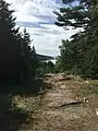 Looking back from the northern end of the pond's trail system