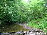 Typical limestone (cornstone) based woodlands rich in Herb Paris colonies.