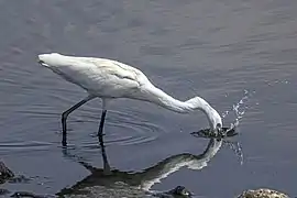 fishing in Cyprus