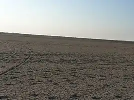 Landscape of Wild Ass Sanctuary Little Rann of Kutch