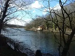 photo of water and trees