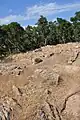 Wall foundations in Puig Castellet near Lloret