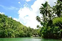 A view of Loboc River