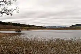 A lake, with reeds in the shallows, and mountains in the distance