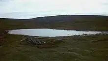 Lochan Buidhe