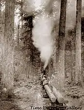 Logging train