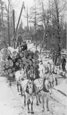 Image 62Logs being transported on a sleigh after being cut (from History of Wisconsin)