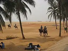 Two riders in a desert landscape with palm trees