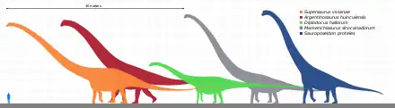 Size comparison of silhouettes of a human and six genera of giant sauropod dinosaurs, including Argentinosaurus