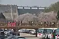 A bridge connects the cherry tree sites on both side of the parking lot.