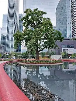 urban park with a heart shaped pond with a tree in the middle