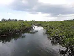 Lucayan National Park