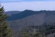 Luftee Knob, viewed from the A.T. just west of the Snake Den Ridge junction