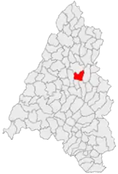 Location in Bihor County