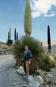 with Italian botanist Luigi Piacenza