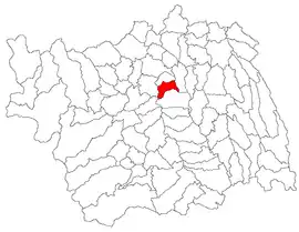 Location in Bacău County