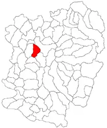 Location in Caraș-Severin County