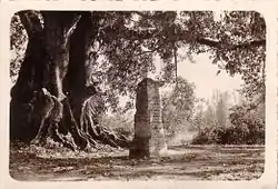 The boundary stone at Lweje