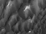 Lyot Crater Dunes, as seen by HiRISE.  Click on image to see light-toned deposits and dust devil tracks.