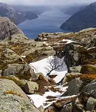 Lysefjord from the top of Preikestolen