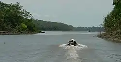 Meeting of Waters, Manuripi and Madre de Dios Rivers, Near Sena, Bolivia