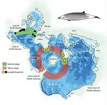 Ramari's beaked whale range