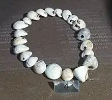 Image 38A necklace reconstructed from perforated sea snail shells from Upper Palaeolithic Europe, dated between 39,000 and 25,000 BCE. The practice of body adornment is associated with the emergence of behavioral modernity. (from Nudity)