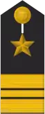 Kapitänleutnant(line officer or warrant officer career)