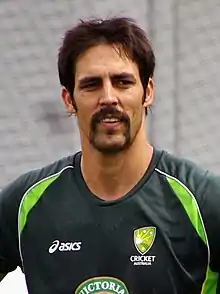 Mitchell Johnson in 2014