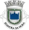 Coat of arms of Cidade da Senhora da Hora