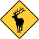 Elk