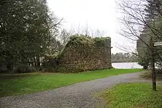 Castle at Lough Rinn